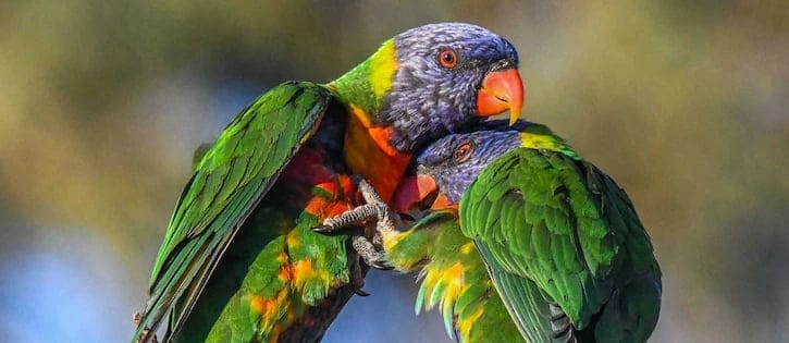 How 600,000 citizen scientists helped calculate that Earth
