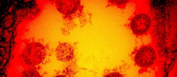 Victoria creates Australia’s first mRNA vaccine with scientists hopeful it could protect against Covid variants 1 vaccine