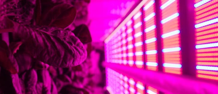 Urban microfarmers