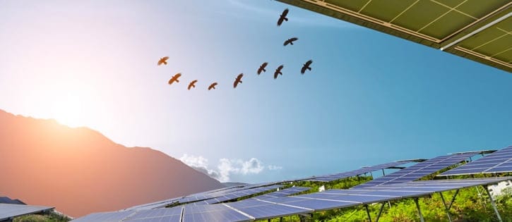 How engineers can mitigate environmental risk in the quest for net zero