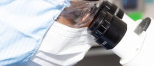 Stem cell manufacturing | bellpeople